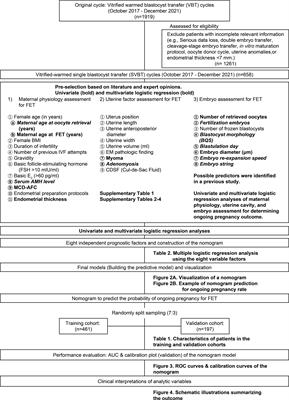 Development and validation of a nomogram for predicting ongoing pregnancy in single vitrified-warmed blastocyst embryo transfer cycles